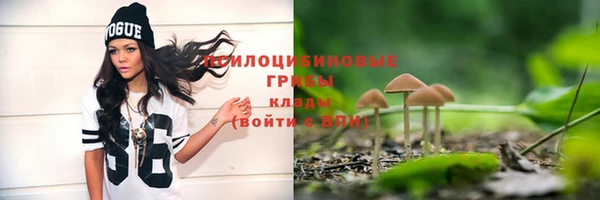mdpv Армянск