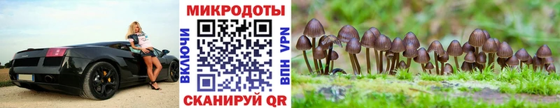 сайты даркнета состав  закладка  Жуковка  Псилоцибиновые грибы Psilocybine cubensis 